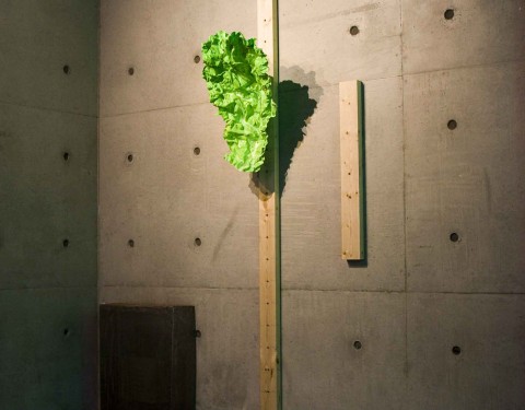 한석현 〈Fresh saves〉