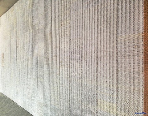 박상덕 〈물고기+자리〉