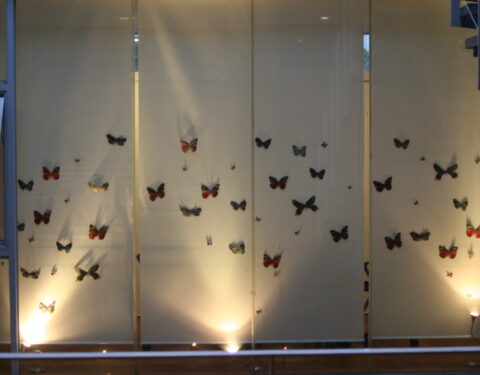 방혜영 〈Reality, Dead or Alive〉