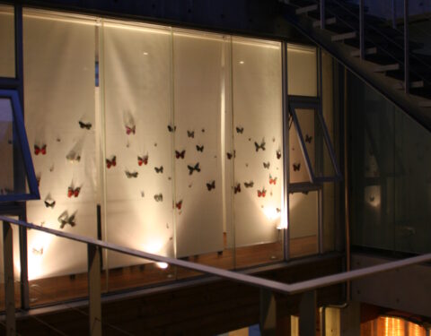 방혜영 〈Reality, Dead or Alive〉