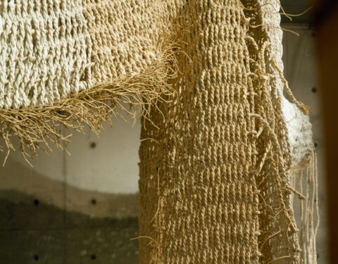 이충우 〈Figural Shape in Books〉