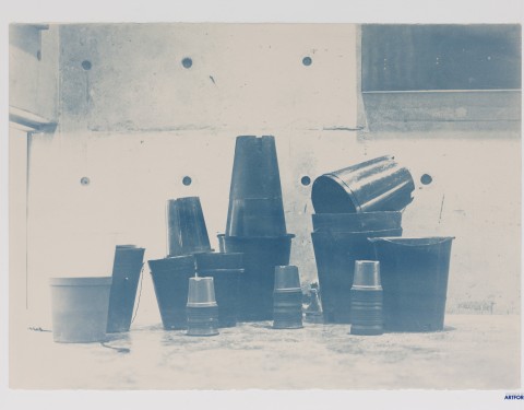 박상용 〈빈 화분들〉