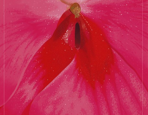 조성호 〈꽃-그 달콤한 유혹으로의 초대〉