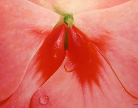 조성호 〈꽃-그 달콤한 유혹으로의 초대〉