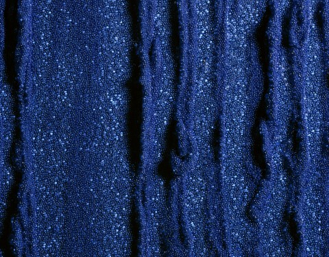 〈그 대안의 모색〉