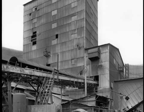 〈이종교배(Outbreeding system)〉