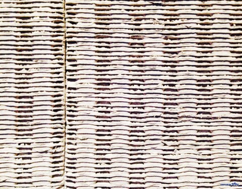 박상덕 〈물고기+자리〉