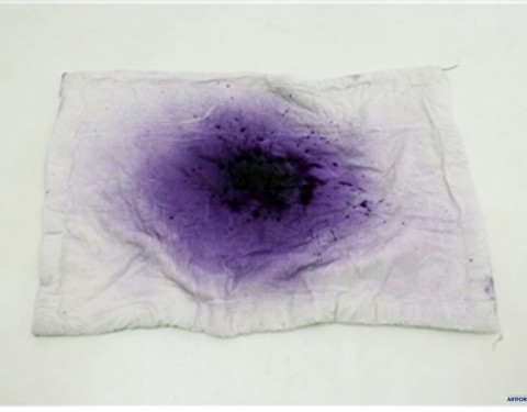 사슴사냥 오픈스튜디오