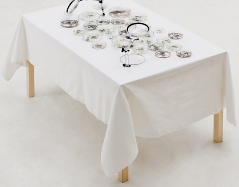 이상미 〈일상다반사〉