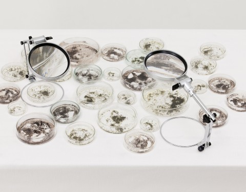 이상미 〈일상다반사〉