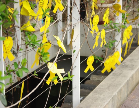 416 〈Yello Wing〉