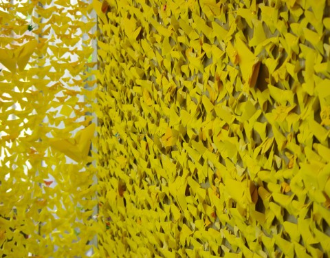 416 〈Yello Wing〉