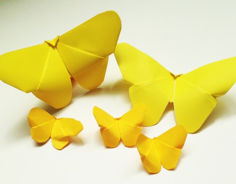 416 〈Yello Wing〉