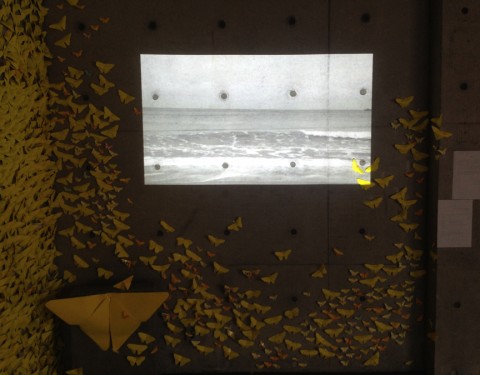 416 〈Yello Wing〉