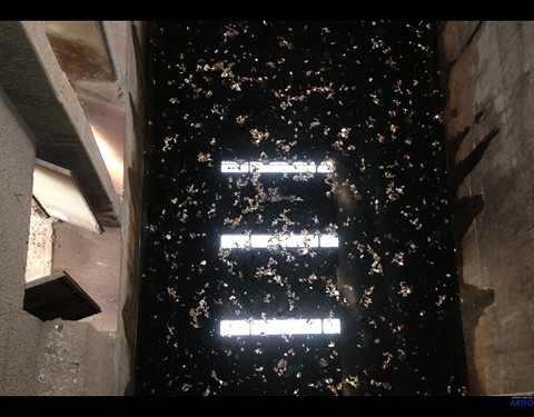 〈나 여기 있어요 I’M HERE〉