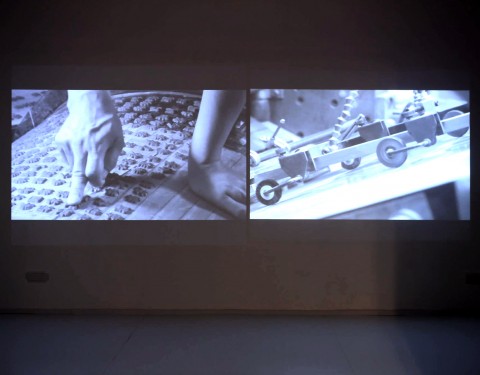 〈코리안 방주 Korean Ark〉