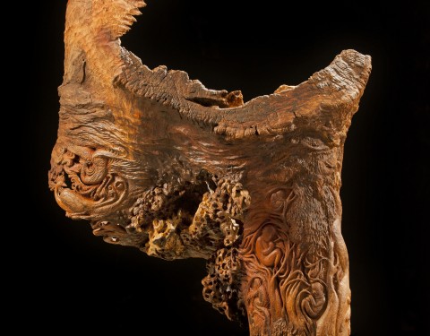 호야 <나무들의 밤>