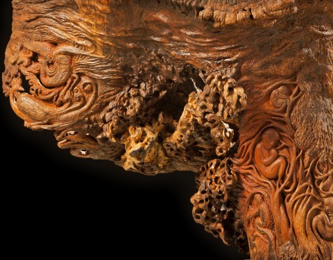 호야 <나무들의 밤>