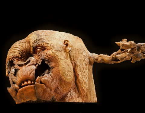 호야 <나무들의 밤>