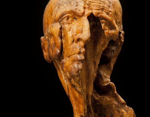 호야 <나무들의 밤>