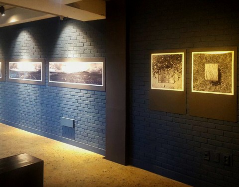 〈코리안 방주 Korean Ark〉