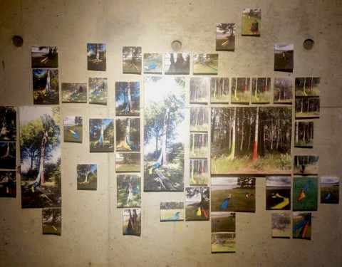 〈코리안 방주 Korean Ark〉