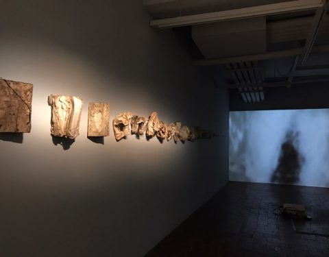 해외 이종교배 In Taipei