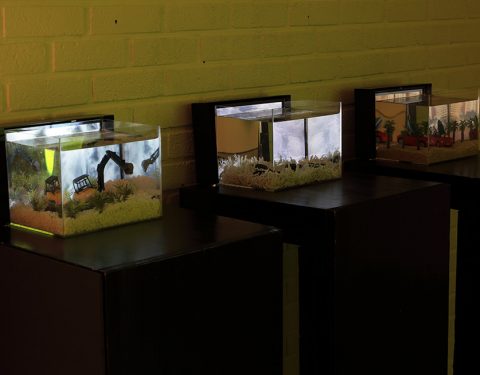 송주형 〈노라〉