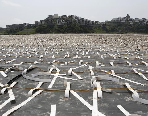 〈Open to You: Cross and Connect〉