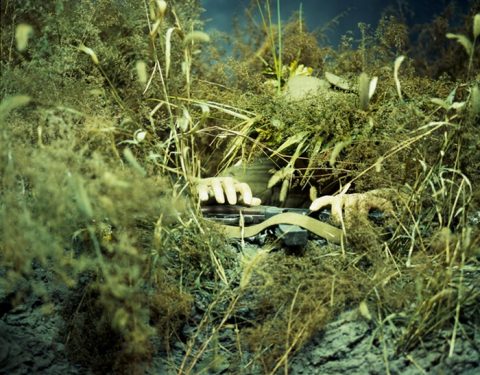 〈Open to You: Cross and Connect〉