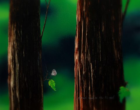 최의열 〈초록동, 초록〉