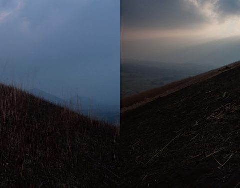 양동규 〈섬, 썸〉