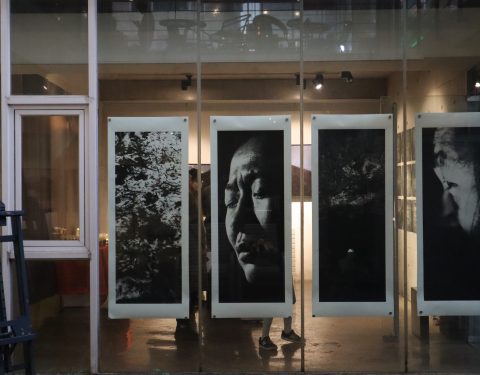 양동규 〈섬, 썸〉