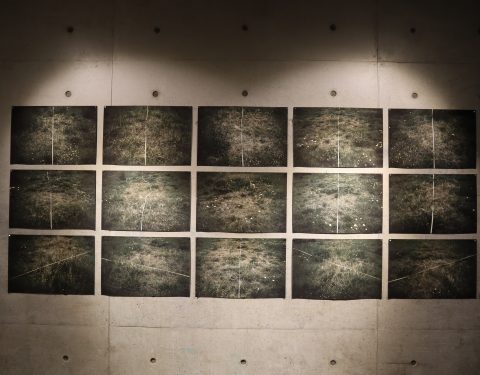 양동규 〈섬, 썸〉