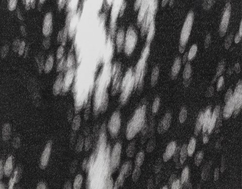 김성건 〈형상전형의 전환〉