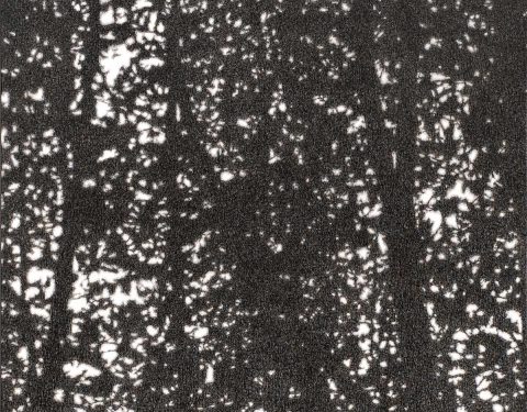 김성건 〈형상전형의 전환〉