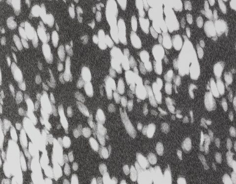 김성건 〈형상전형의 전환〉