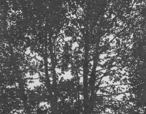 김성건 〈형상전형의 전환〉