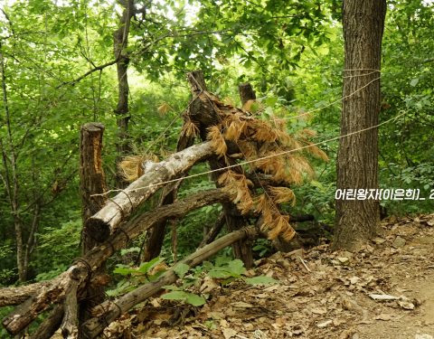 부천 둘레길 생태드로잉 프로젝트