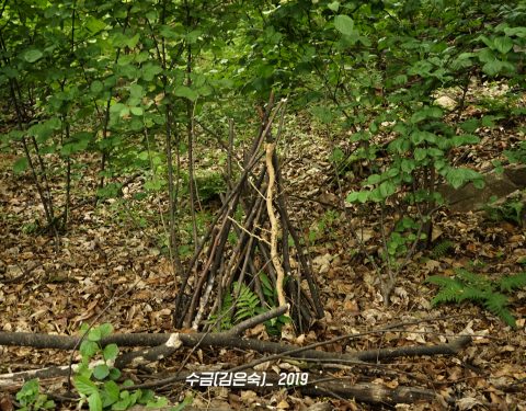 부천 둘레길 생태드로잉 프로젝트