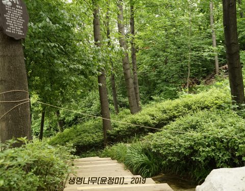 부천 둘레길 생태드로잉 프로젝트