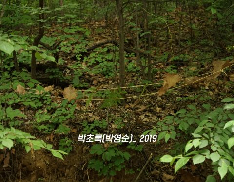 부천 둘레길 생태드로잉 프로젝트