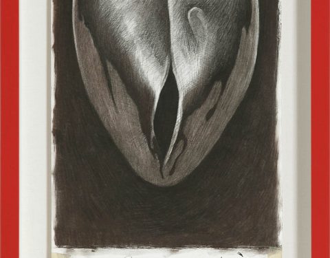 김윤아 〈The warmest color, gray〉