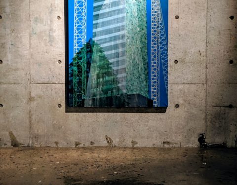 양화선, 좌혜선 2인전