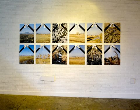 조은용 〈국토부는 보아라!〉