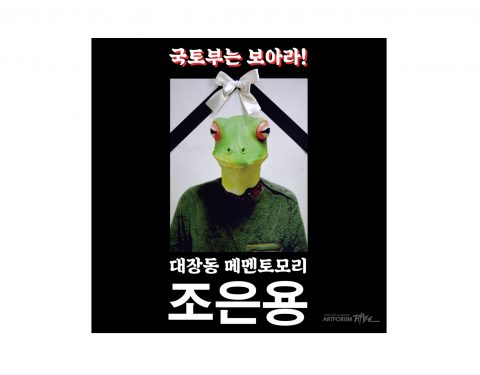 조은용 〈국토부는 보아라!〉