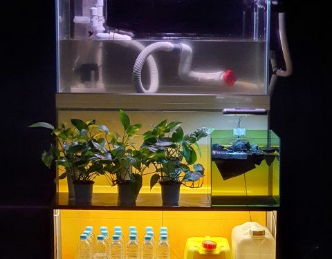 〈삼작(三作)〉