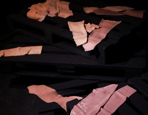 이지민 〈Stinging Coexistence〉