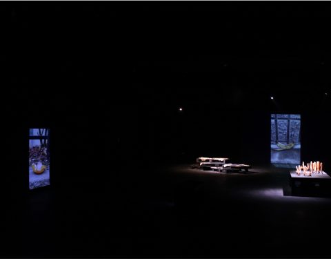 이지민 〈Stinging Coexistence〉