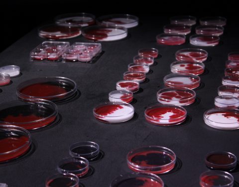 아트포럼리202103 이지민자각